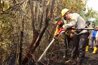 Semangati Petugas, Kapolda Riau Ikut Langsung Padamkan Api