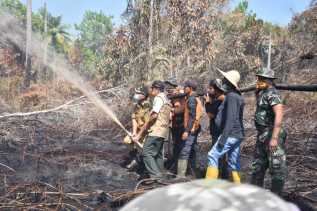Wabup Bagus Santoso Ikut Padamkan Karhutla
