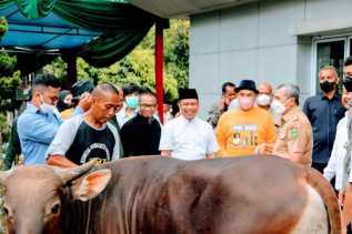 Wabup Bagus Santoso dan Gubri Syamsuar Hadiri Penyembelihan Hewan Qurban PWI Riau