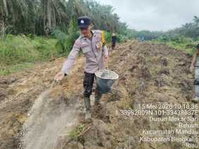 Polsek Mandau Intensifkan Pengelolaan Lahan Jagung 