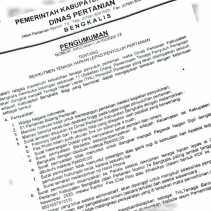 Dinas Pertanian Bengkalis Buka Lowongan THL-PP Bagi S1 Bidang Pertanian