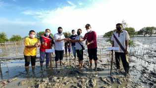 Kepala Dinas KP Riau Bersama KMKLP Tanam Mangrove di Teluk Papal Bengkalis