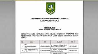 Pengumuman Hasil Seleksi Administrasi Pendamping Desa, Berikut Daftar Namanya