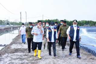 Gubri Panen Udang Vename di Kecamatan Rupat Utara
