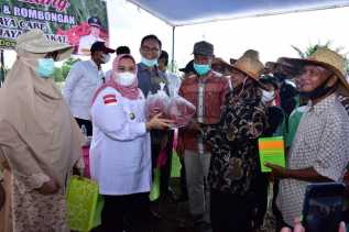 Salah Satu Program Unggulan, Bupati Kasmarni Sebut Bidang Pertanian Jadi Perhatian Khusus