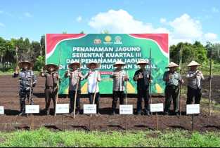 Polres dan Pemkab Bengkalis Tanam Jagung di Kampung Tangguh: Upaya Wujudkan Swasembada Pangan 2025