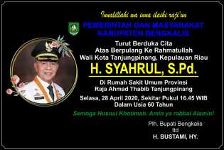 Wali Kota Tanjung Pinang Tutup Usia, H Bustami HY Ucapkan Bela Sungkawa