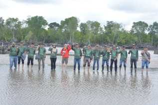 YKAN Bersama KPM Desa Teluk Pambang Terus Berupaya Selamatkan Hutan Mangrove Pulau Bengkalis Lewat Program MERA