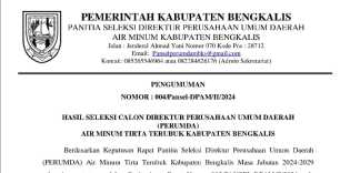 Pansel PERUMDA Umumkan Empat Calon Direktur Dinyatakan Lulus Administrasi
