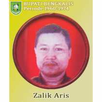 Mantan Bupati Bengkalis Terima Gelar Pejuang Daerah Riau