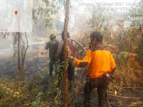 Berjalan Kaki 3 Kilometer Selama 2 Jam, Petugas Baru Bisa Sampai di Titik Api