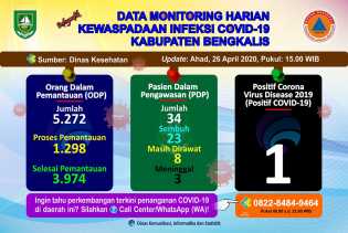 Dari 5.272 yang Tercatat, ODP di Kabupaten Bengkalis Hanya 24,62 Persen