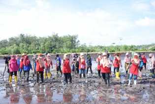 DWP Bengkalis Bersama IPMPL Tanam 600 Mangrove di Pantai Raja Kecik