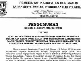 Dari 237 Peserta Seleksi Akhir PPPK Hanya 133 yang Lulus, Berikut Daftarnya