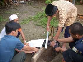  Di Kabupaten Bengkalis, Hampir 1.700 Ekor Hewan Kurban Bakal Dipotong pada Idul Adha 1440 H