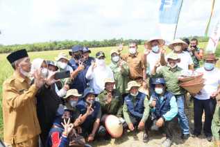 Bupati Bengkalis Panen Raya Bersama Masyarakat Siak Kecil