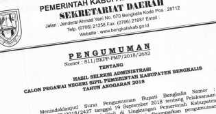 4.382 Pelamar CPNS di Bengkalis Lulus Administrasi, Ini Daftarnya