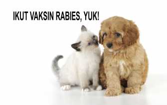 Dinas TPHP Kabupaten Bengkalis Adakan Vaksinasi Rabies Massal, Gratis