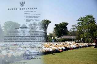 Keluarkan SE, Bupati Amril Mukminin Imbau Pemerintah Kecamatan Laksanakan Sholat Istisqo