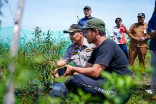 Dorong Stabilitas Cabe, Wabup Bagus Santoso Tinjau Potensi Pertanian di Bantan