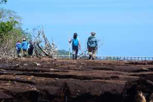 Kawasan Restorasi Mangrove Teluk Pambang Dikunjungi Tim ASEAN-UK GTF