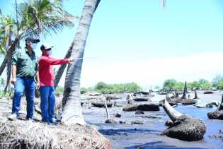 Atasi Abrasi, Pemkab Bengkalis Minta Pemecah Gelombang Laut ke Pemerintah Pusat