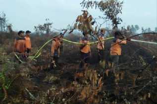 Langsung Dipimpin Kasi Kedaruratan Rusmali, TRC BPBD Padamkan Karhutla di Kecamatan Rupat