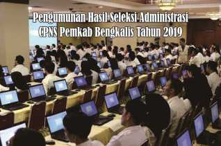 3.171 Pelamar Lulus Seleksi Administrasi CPNS Kabupaten Bengkalis Tahun 2019