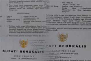Bupati Bengkalis Amril Mukminin Tunjuk Yuhelmi sebagai Plt Kepala Bappeda, Supardi Jadi Plt Kadistan