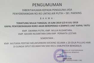 Mulai Rabu Besok, Penyeberangan Ro-Ro Air Putih dan Sungai Selari Dilayani 4 Unit Kapal