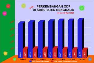 Seminggu Terakhir, Jumlah ODP Covid-19 di Bengkalis Setiap Hari Berkurang 12 Orang 