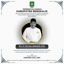 Mantan Wako Pekanbaru Herman Abdullah Meninggal Dunia, Bupati Kasmarni Ucapkan Belasungkawa