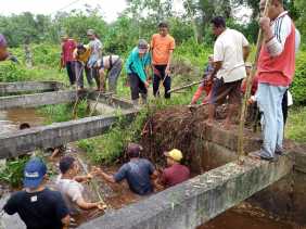 Ditengah Pandemi, Warga Pedekik Tetap Semangat Gotong Royong Bersihkan Tali Air