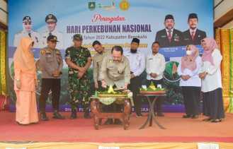 Peringati Hari Perkebunan, Bupati Terus Tekad Perhatikan Pelaku Perkebunan