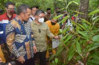 Wamen LHK RI Kunjungan ke Arboretum Kampung Jawa Pakning