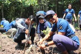 Mahasiswa UiTM dan Polbeng Tanam 100 Pohon Mangrove di Pantai Sebauk