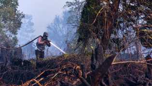 Mei 2019, BPBD Bengkalis Tangani 20 Kebakaran Lahan