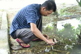 KECEBONG MENURUT BIOLOGI, KKBI DAN USTADZ ADI HIDAYAT