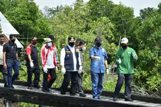 Pj Bupati Bengkalis Bersama Gubri Tinjau Lokasi Ekowisata Mangrove Pangkalan Jambi
