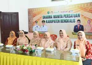 Ramadhan Tanpa Drama, DWP Bengkalis Ikuti Webinar se-Riau