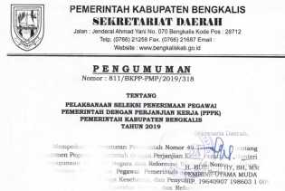 Tahun 2019 Ini Pemkab Bengkalis Terima 320 Pegawai Pemerintah dengan Perjanjian Kerja