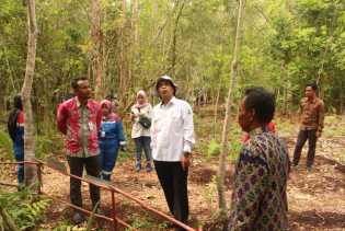 Tinjau Sekat Kanal Gambut, Deputi Litbang BRG ke Sungai Pakning