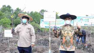 Pemkab Bengkalis Apresiasi Program PEN Padat Karya Percepatan Rehabilitasi Mangrove