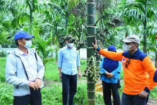 Apresiasi Kelompok Tani, Pemkab Bengkalis Dukung Kembangkan Pinang Lonjong