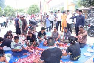 Bupati Amril Mukminin, Distribusikan Daging Kurban kepada Mereka yang Berhak