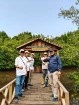 Anggota DPD RI H. Abdul Hamid Kunjungi Kawasan Mangrove Paghet Seghaghah Desa Kelapa Pati