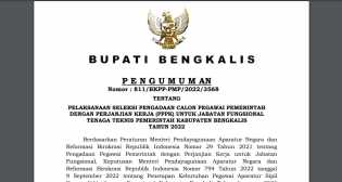 Pengumuman Penerimaan PPPK Tenaga Teknis Kabupaten Bengkalis 2022