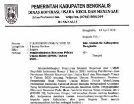 Angin Segar, Pendaftaran Bantuan Pelaku Usaha Mikro Dibuka Kamis