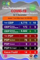 ODP Covid-19 di Kabupaten Bengkalis Bertambah Menjadi 173 Orang, PDP Positif Tetap 14 Orang