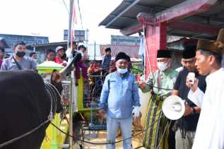 Wabup Bagus Santoso Serahkan Sapi Qurban di Masjid Raya Parit Bangkung